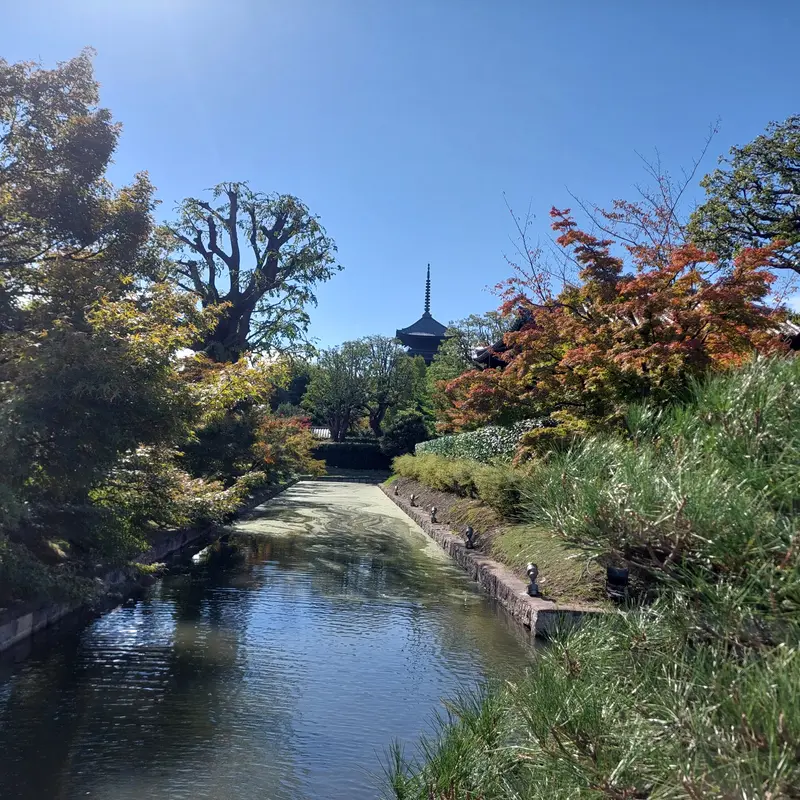 To-Ji