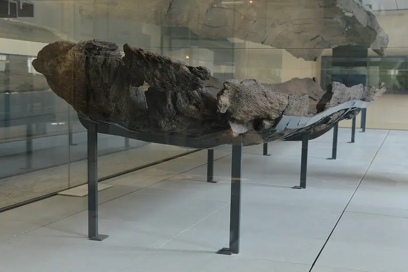 Photo wikipedia de la pirogue néolithique découverte à Bercy